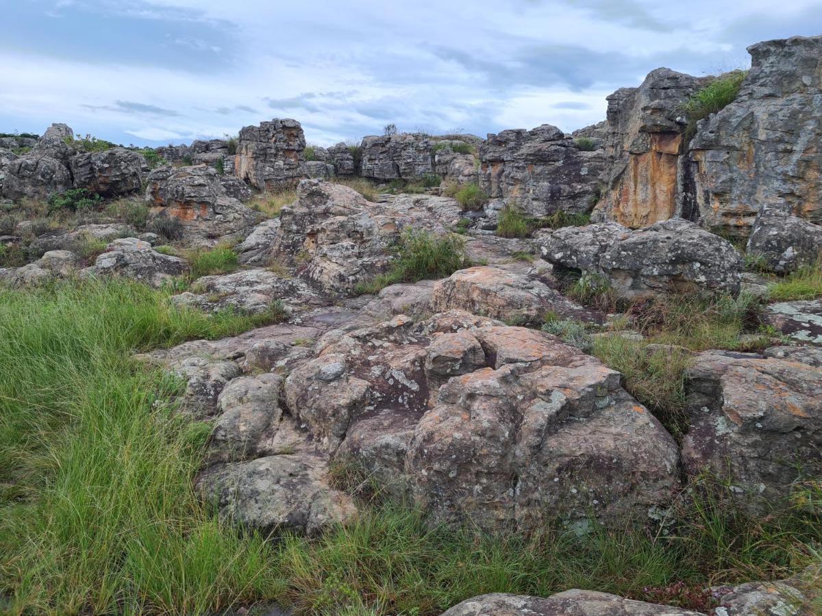 Kaapsehoop Coddiwomple Cottage المظهر الخارجي الصورة