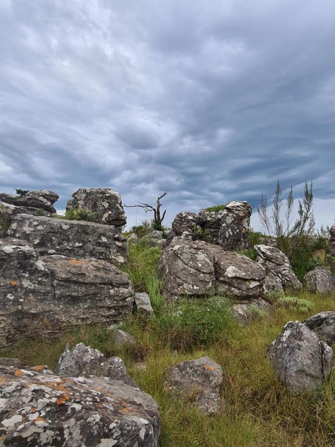 Kaapsehoop Coddiwomple Cottage المظهر الخارجي الصورة