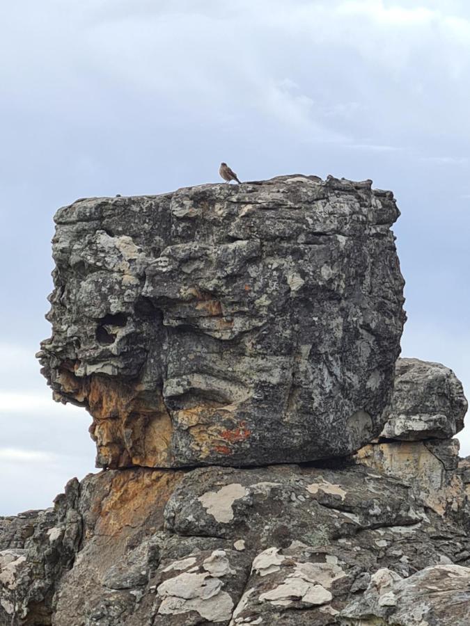 Kaapsehoop Coddiwomple Cottage المظهر الخارجي الصورة